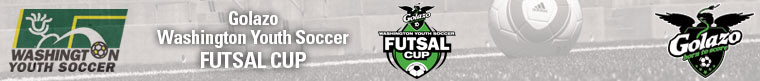 2013 Golazo Futsal Cup banner